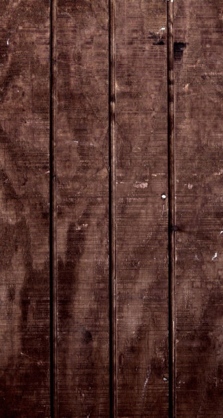 Cat sitting wooden bench wall - a cat free wallpaper