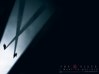 Birds flying dark sky shadow - a couple of birds free wallpaper