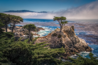 Tree rocky cliff ocean mountains - low free wallpaper