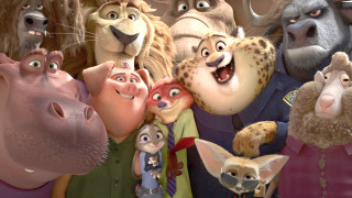 Cartoon animals surprised faces open - a group of cartoon animals free wallpaper