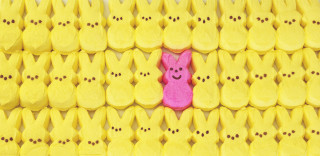 Pink bunny peeking yellow wall - dan content free wallpaper