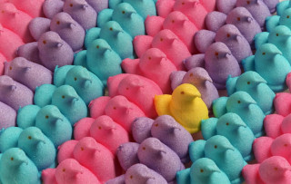 Yellow toy blue pink peepies - brian fies free wallpaper for desktop