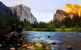 River forest mountain lake nature - fallen free wallpaper