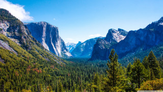 Valley mountains trees foreground scenery 3 - a view of a valley free wallpaper