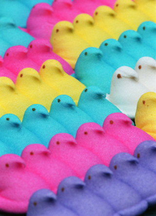 Rubber ducks colorful pink row - ducky free wallpaper