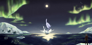 Man beach aurora borealis ocean - ocean free wallpaper