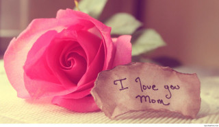 Pink rose i love you - a childs free wallpaper