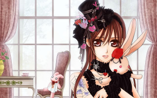 Gothic anime woman pinkflower rabbithand - a pink flower free wallpaper