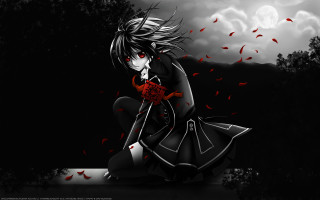 Woman sitting red rose black - a full moon free wallpaper