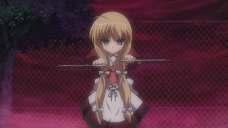 Girl blonde hair sword fence - a fence free wallpaper