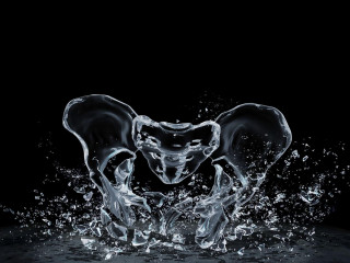 Elephants splashing water dark background - the dark background free wallpaper