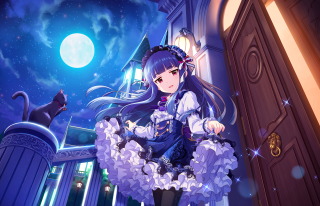 Girl dress door cat handle - moonlight free wallpaper