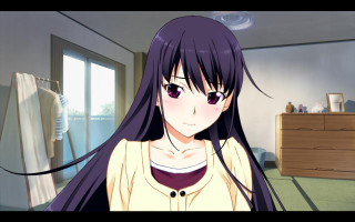 Girl long hair room closet - official art free wallpaper for desktop