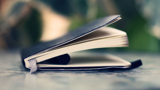 Book opened table blurry plant - book cover free wallpaper