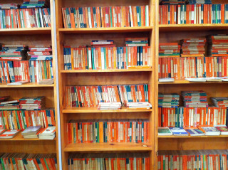 Bookshelf cat sitting floor books - international typographic style free wallpaper