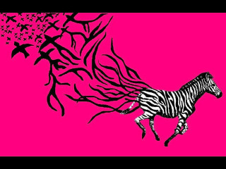 Zebra running birds pink background - llustration free wallpaper