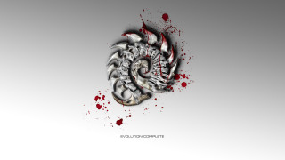 Dragon blood splatter face tail - blood splatter free wallpaper