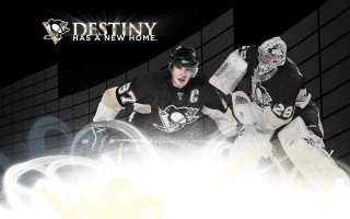 Hockey players posing photo wall - a picture together in front free wallpaper