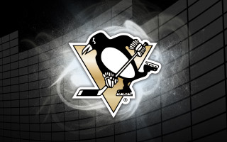 Penguin hockey sticker face wall - a hockey sticker free wallpaper