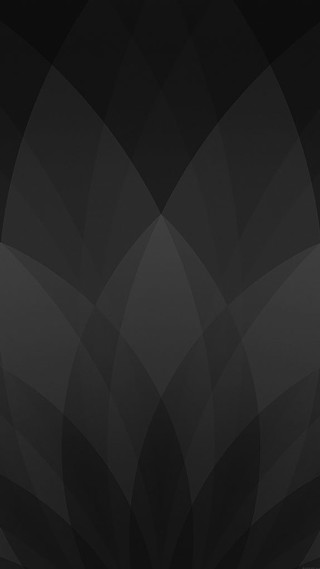 Black white abstract background black - vector curve free wallpaper