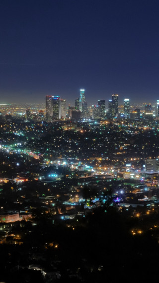 City skyline night lights plane - free city wallpaper