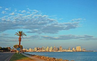 Palm tree road water city - dennis ashbaugh free wallpaper for desktop