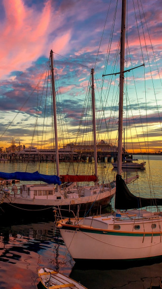 Sailboats docked pier sunset colorful - dawn free wallpaper