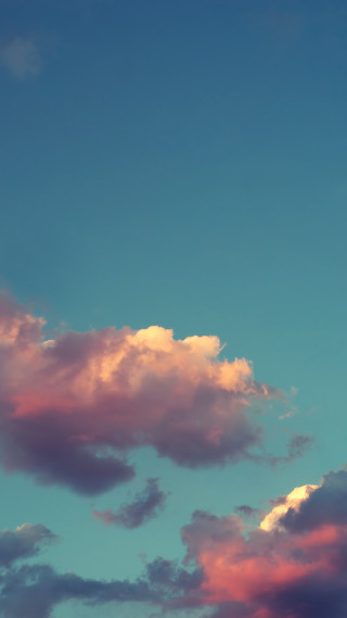 Plane flying pink cloud blue - tonalism free wallpaper