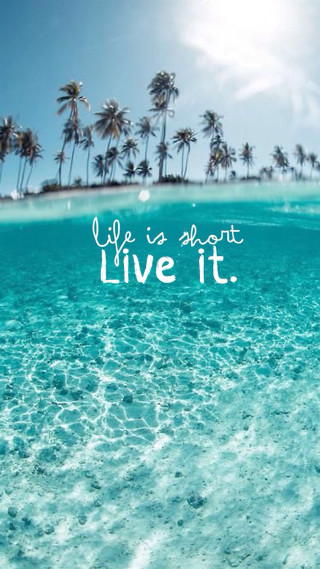 Beach palm trees quote life - else alfelt free wallpaper