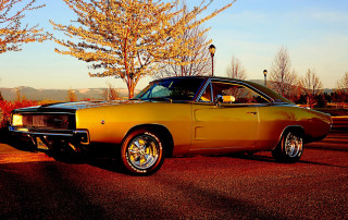 Yellow car parking lot tree 2 - a parking lot next free wallpaper