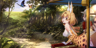 Girl bench forest cat bird - a bench in a forest free wallpaper