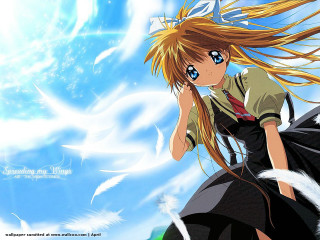 Alice longhair blueeyes blacksleeves sky - visual free wallpaper