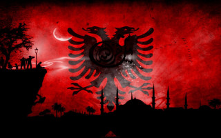 Red black bird sky background - a large bird free wallpaper