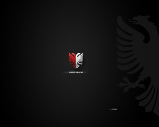 Black background red white bird - free minimalism wallpaper