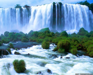 Waterfall flowing water green plants 2 - green plant free wallpaper