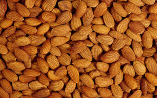 Almonds muscular female foreshortening sunflower - the middle of the image free wallpaper