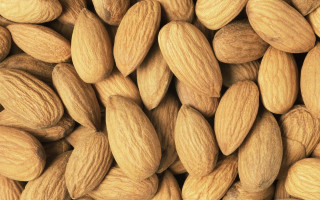 Almonds brown border 3d render - a white border free wallpaper