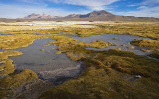 Lake mountains grass desert blue - the desert free wallpaper
