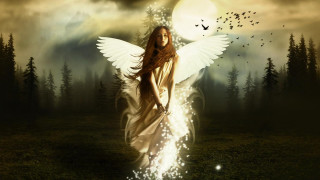 Woman wings field trees birds - tree and birds free wallpaper