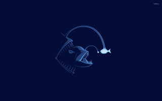Blue drawing head light fish - lostfish free wallpaper