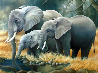 Three elephants grass stream rocks - a stream free wallpaper