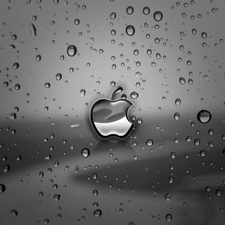 Black white apple logo rainy - photo of an apple logo free wallpaper