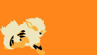 Bird long tail black white - an orange background free wallpaper