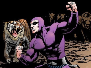 Man purple holding tiger background - a tiger free wallpaper