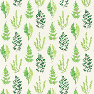 Green white wallpaper leaves berries 2 - leaf and berries free wallpaper
