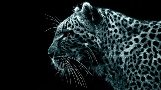 Leopard face black white red - a red eye free wallpaper