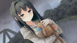 Girl holding cat rain bridge - sots art free wallpaper