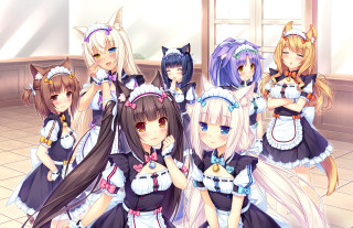 Anime girls tile floor room - a group of anime girls free wallpaper