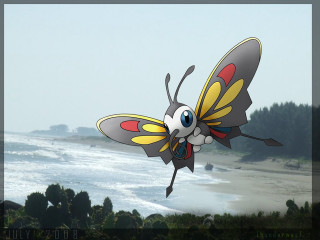 Cartoon butterfly beach ocean sky - craola free wallpaper