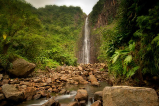Waterfall jungle rocks trees people 2 - the rock free wallpaper
